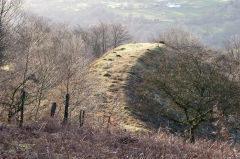Swffryd Colliery tip, January 2011